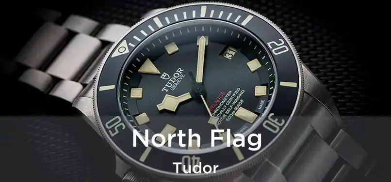  North Flag Tudor